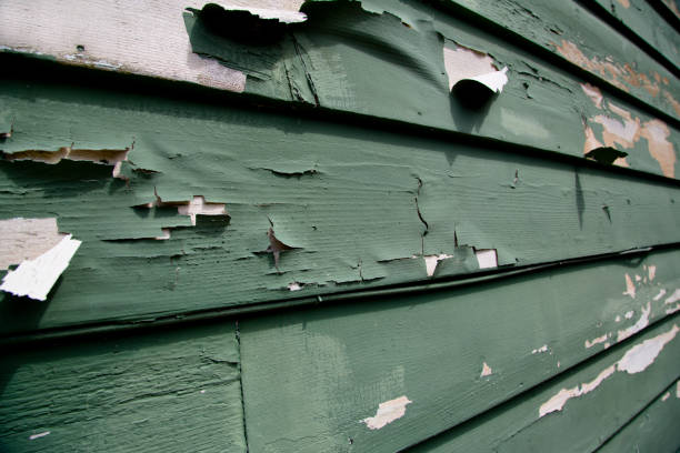 Best Siding Painting and Refinishing  in Bogota, NJ
