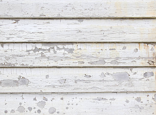 Best Steel Siding Installation  in Bogota, NJ